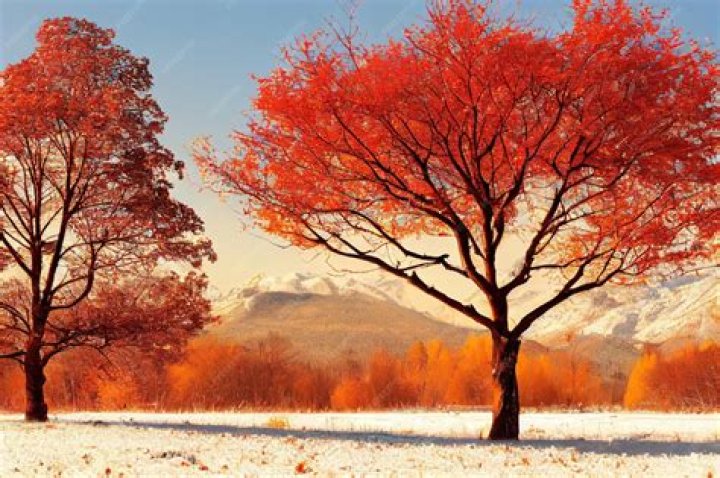 Autumn Falls